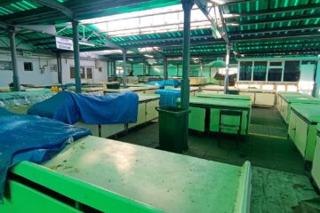 Comercianții de la Piața Mare, alungați din partea de sus a halei de frigul tăios din interior