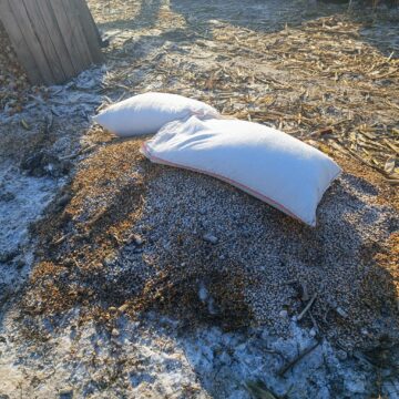 Protest cu tractoare în coloană, cu viteză redusă, pe E 85 Suceava – Fălticeni. Fermierii se îndreaptă spre București