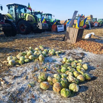 Protest cu tractoare în coloană, cu viteză redusă, pe E 85 Suceava – Fălticeni. Fermierii se îndreaptă spre București