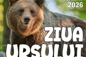 „Ziua Ursului”, atelier de educație muzeală, la Muzeul de Științele Naturii din Suceava
