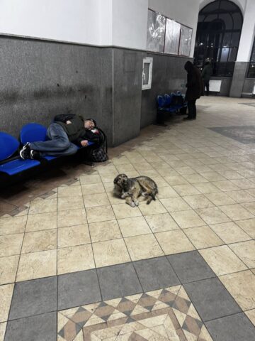 Hrană caldă și adăpost oferite persoanelor ce trăiesc pe stradă sau în gară, la Suceava, în cele două săptămâni de ger năprasnic