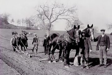 „Muncile agricole de primăvară”