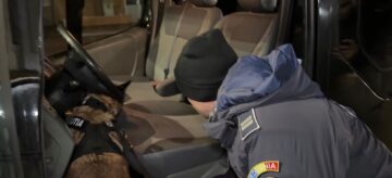 Amenzi de 150.000 de lei aplicate după o amplă razie cu peste 300 de polițiști și jandarmi