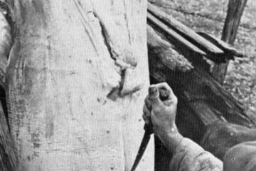 „Fabrica română-austriacă de gunoiu artificial din Siret”