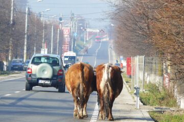 Triada sumbră și aproapele: cel de toate… silele