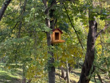 Primăria Suceava a obținut finanțarea pentru continuarea amenajării Parcului Șipote