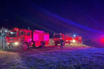 O hală pentru debitarea materialului lemnos, afectată serios de un incendiu