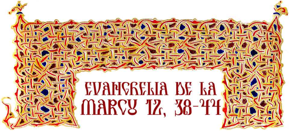 Evanghelia zilei Evanghelia zilei