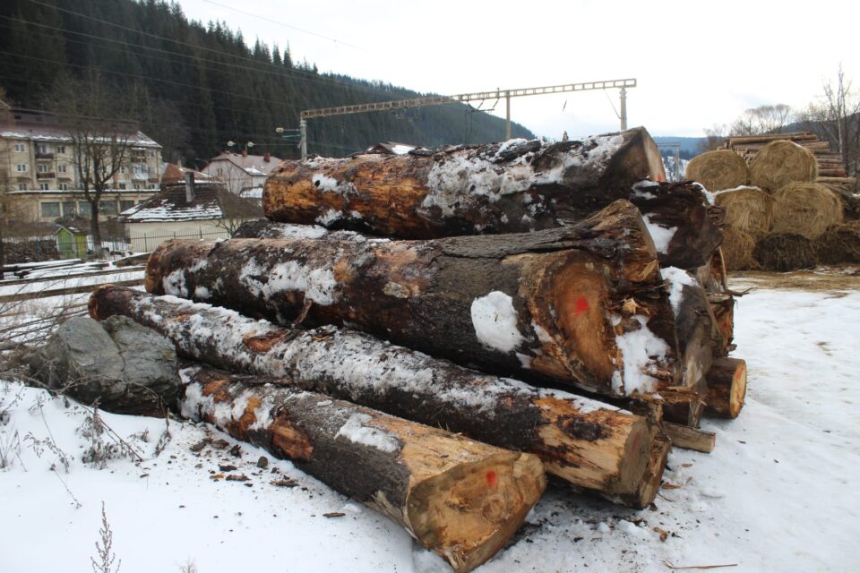 Camion în valoare de 25.000 de euro, confiscat după ce a fost folosit la un transport ilegal de material lemnos