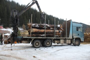 Camion în valoare de 25.000 de euro, confiscat după ce a fost folosit la un transport ilegal de material lemnos