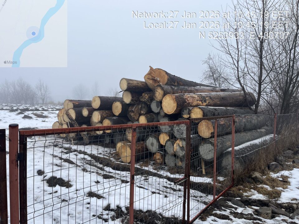 Dintr-o livadă și din albia pârâului Suha s-au confiscat peste 150 mc de material lemnos