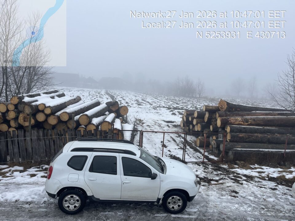 Dintr-o livadă și din albia pârâului Suha s-au confiscat peste 150 mc de material lemnos