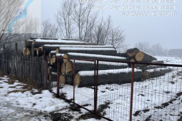 Dintr-o livadă și din albia pârâului Suha s-au confiscat peste 150 mc de material lemnos Dintr-o livadă și din albia pârâului Suha s-au confiscat peste 150 mc de material lemnos