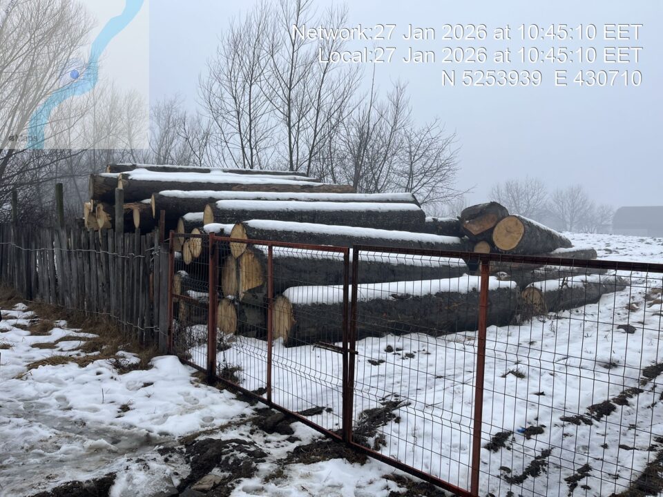 Dintr-o livadă și din albia pârâului Suha s-au confiscat peste 150 mc de material lemnos