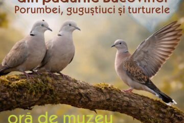 Lecția „Îndrăgostiții din pădurile Bucovinei”, la Muzeul de Științele Naturii din Suceava