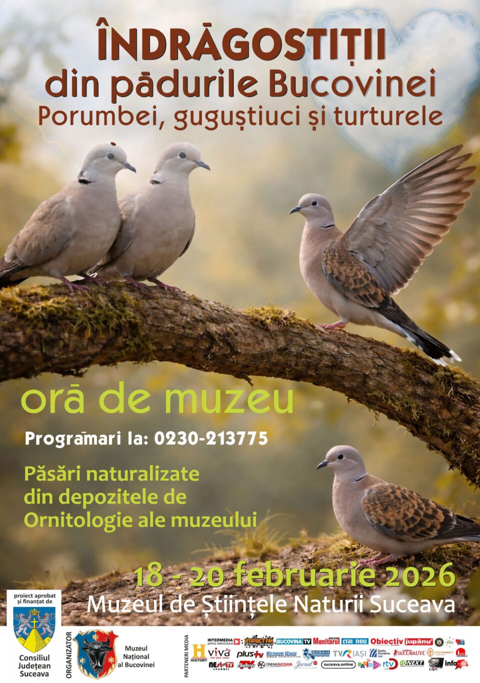 Lecția „Îndrăgostiții din pădurile Bucovinei”, la Muzeul de Științele Naturii din Suceava Lecția „Îndrăgostiții din pădurile Bucovinei”, la Muzeul de Științele Naturii din Suceava