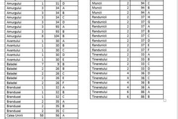 Luni se deschide licitația locurilor de parcare nominale pentru locatari de pe încă 10 străzi din cartierul Burdujeni din municipiul Suceava Luni se deschide licitația locurilor de parcare nominale pentru locatari de pe încă 10 străzi din cartierul Burdujeni din municipiul Suceava