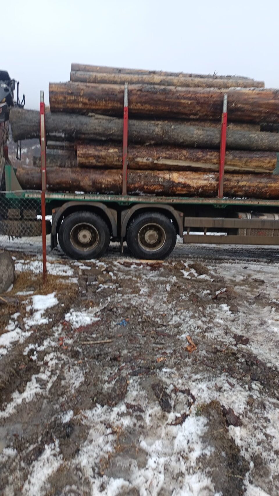 Dintr-o livadă și din albia pârâului Suha s-au confiscat peste 150 mc de material lemnos