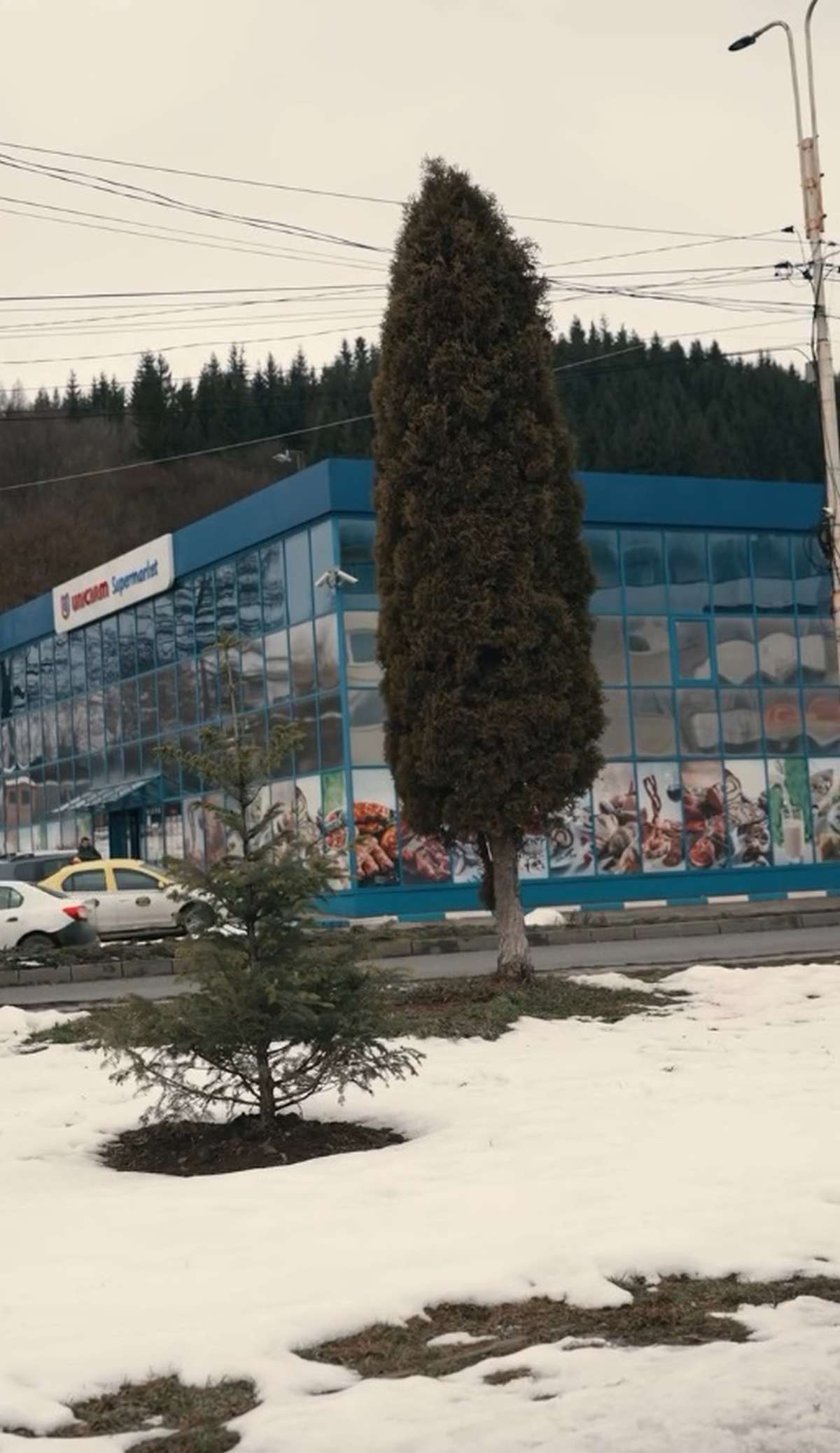 Primăria Vatra Dornei va începe lucrările pentru modernizarea a șase spații verzi din acest municipiu