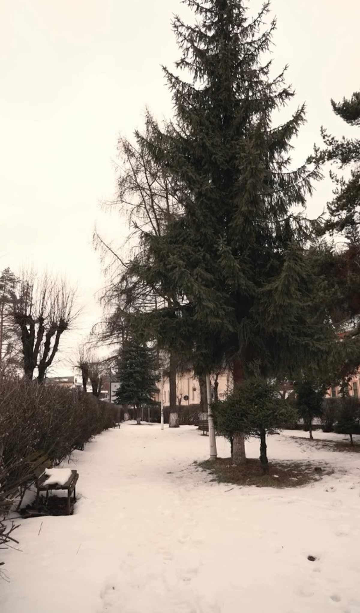 Primăria Vatra Dornei va începe lucrările pentru modernizarea a șase spații verzi din acest municipiu