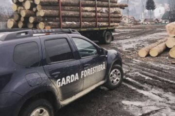 Activitate intensă a Gărzii Forestiere Suceava la finele anului trecut