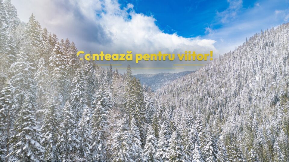 Regia Națională a Pădurilor – Romsilva își continuă procesul de transformare digitală și modernizare instituțională Regia Națională a Pădurilor – Romsilva își continuă procesul de transformare digitală și modernizare instituțională