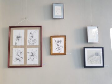 Sorin Baciu: „Mă bucur că, după mult timp, propunerea mea de a-i aduna pe artiștii din Suceava la o expoziție de desene începe să prindă contur”