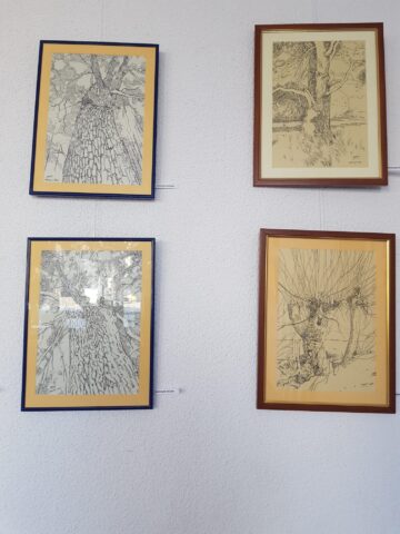 Sorin Baciu: „Mă bucur că, după mult timp, propunerea mea de a-i aduna pe artiștii din Suceava la o expoziție de desene începe să prindă contur”