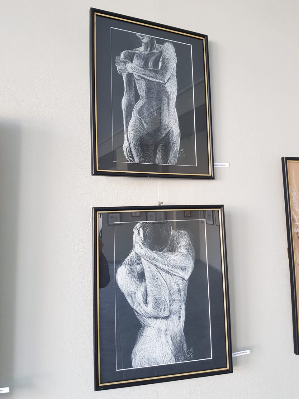 Expoziția „Desenul azi”