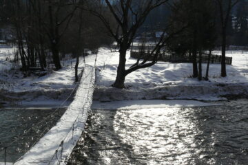 Statul eșuat?… Nu! Doar omul…