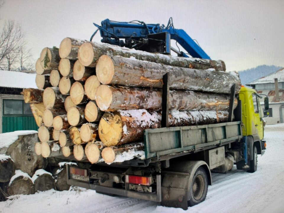 Transport de lemn confiscat cu tot cu autovehiculul de 65.000 de lei