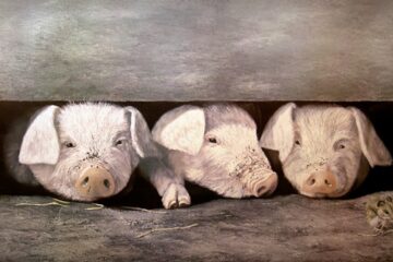 „Metode moderne de creştere a purceilor”