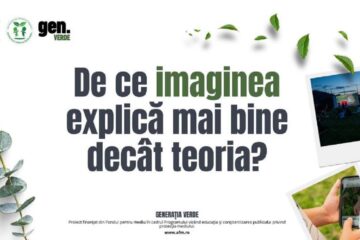 Generația Verde: de ce educația vizuală funcționează mai bine pentru copii