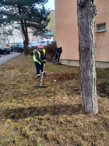 Curățenie generală în municipiul Suceava, odată cu încălzirea vremii