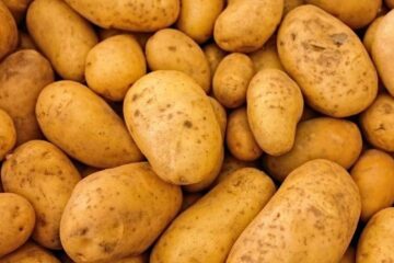 Oficiul Fitosanitar Suceava avertizează: reguli stricte pentru producerea și comercializarea cartofilor