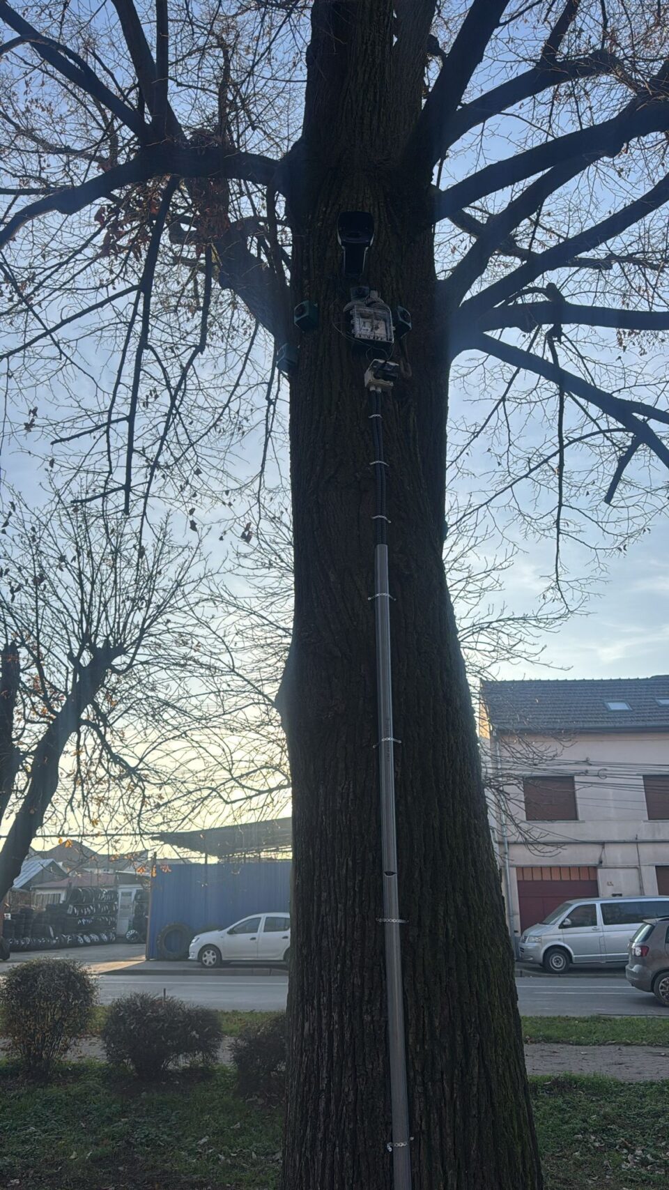 Două parcuri mari au fost eliberate de ciori cu un sistem de ultrasunete și lasere