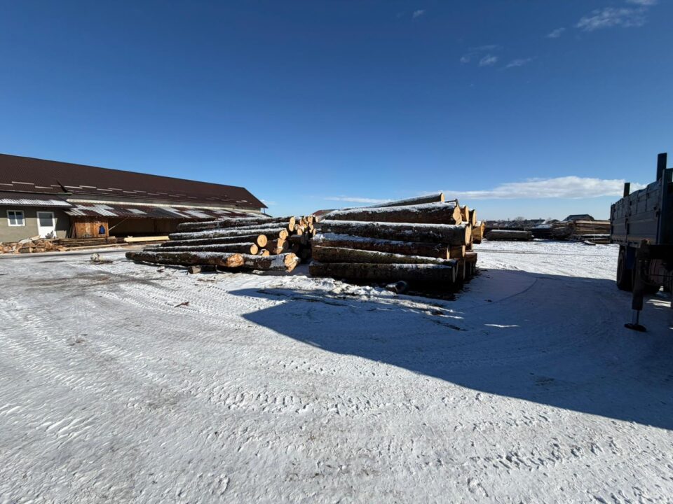 Cantitate mare de lemn confiscat, dosar penal și amenzi, după o acțiune concentrată a polițiștilor, la Marginea