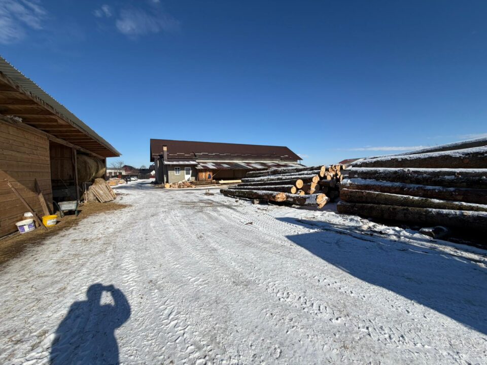 Cantitate mare de lemn confiscat, dosar penal și amenzi, după o acțiune concentrată a polițiștilor, la Marginea