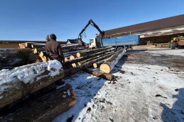 Cantitate mare de lemn confiscat, dosar penal și amenzi, după o acțiune concentrată a polițiștilor, la Marginea