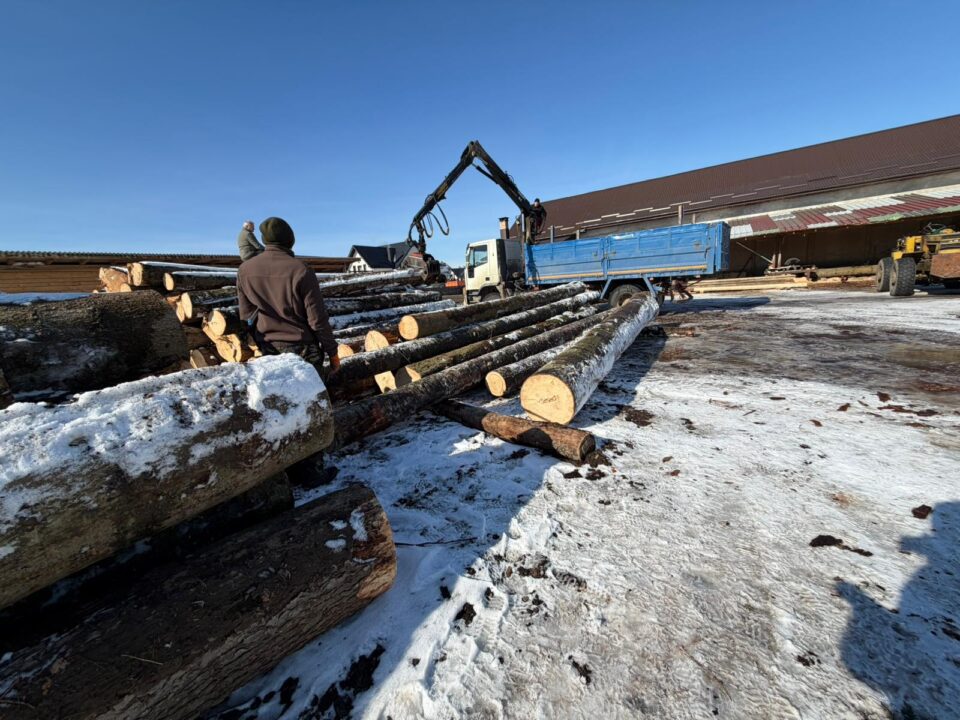 Cantitate mare de lemn confiscat, dosar penal și amenzi, după o acțiune concentrată a polițiștilor, la Marginea