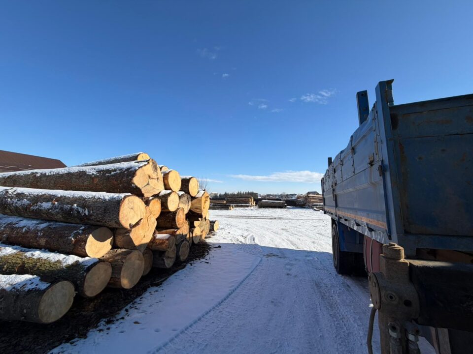 Cantitate mare de lemn confiscat, dosar penal și amenzi, după o acțiune concentrată a polițiștilor, la Marginea