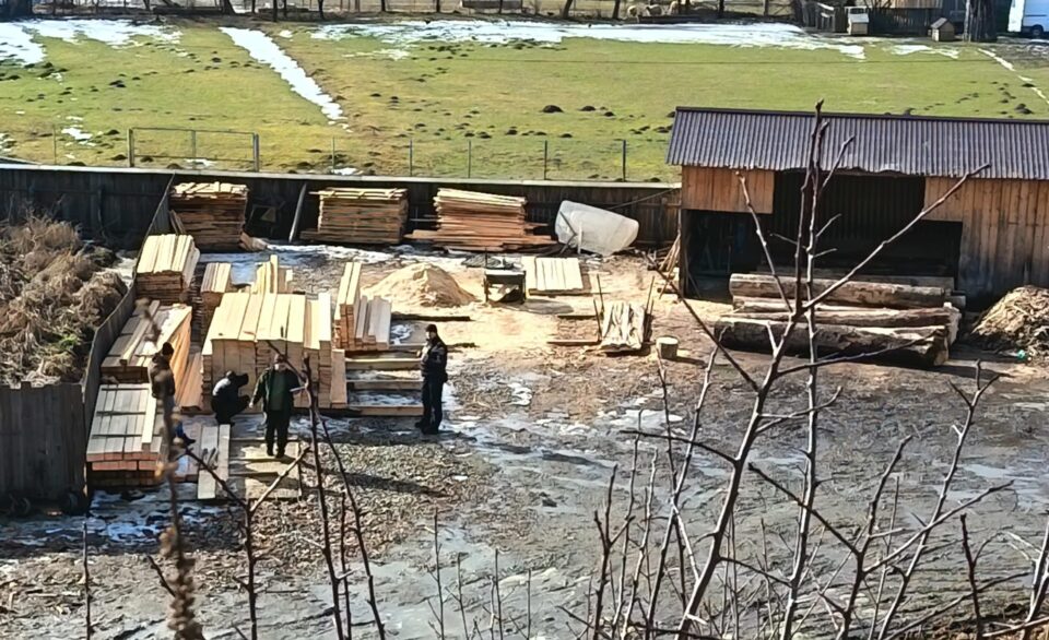 Polițiștii de la Vadu Moldovei au confiscat tot lemnul găsit în depozitul unei societăți