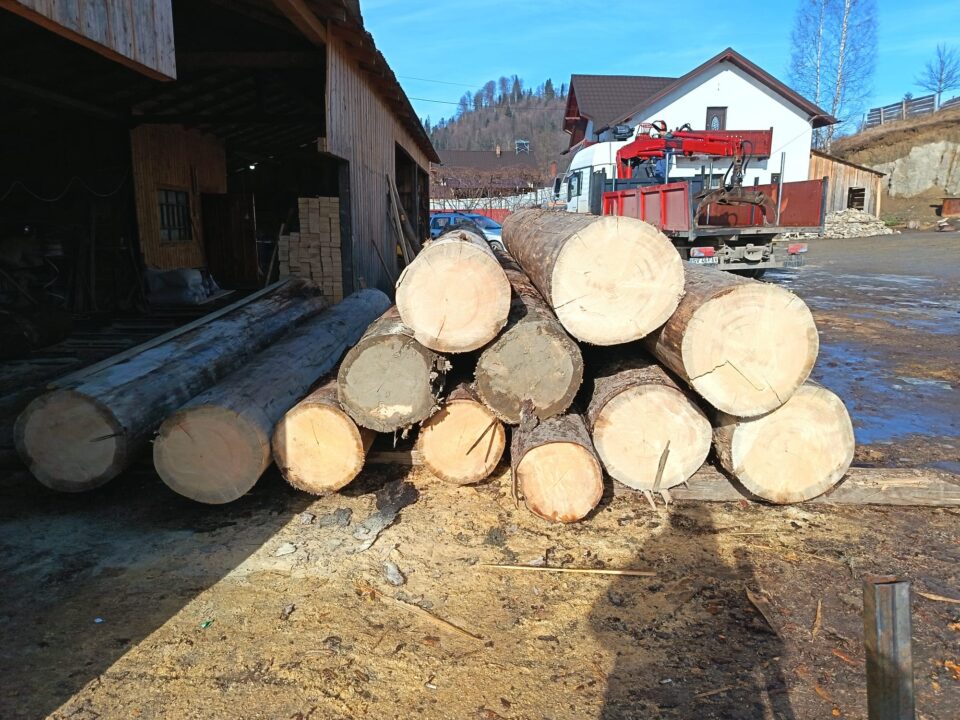 Polițiștii de la Vadu Moldovei au confiscat tot lemnul găsit în depozitul unei societăți