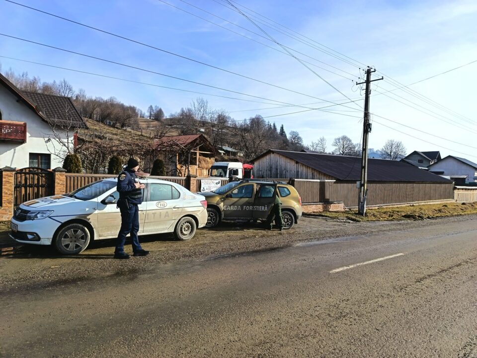 Polițiștii de la Vadu Moldovei au confiscat tot lemnul găsit în depozitul unei societăți