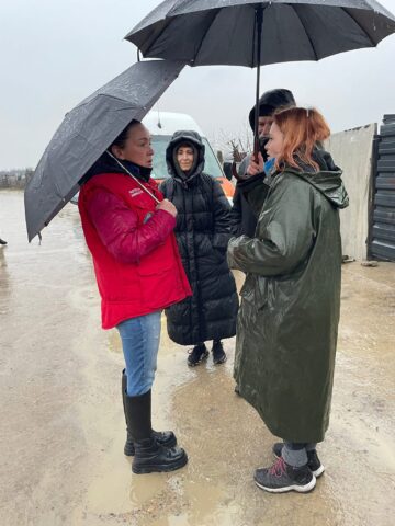 Patru câini din adăpostul ororilor de la Suraia au fost preluați la Suceava, de Casa lui Patrocle