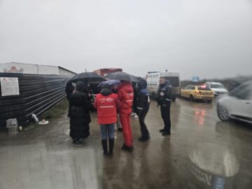 Patru câini din adăpostul ororilor de la Suraia au fost preluați la Suceava, de Casa lui Patrocle