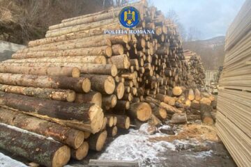 200 mc lemn confiscat, amenzi mari și dosar penal, după descinderi la afaceriști cu lemn din zonele Broșteni, Mălini și Slatina 200 mc lemn confiscat, amenzi mari și dosar penal, după descinderi la afaceriști cu lemn din zonele Broșteni, Mălini și Slatina