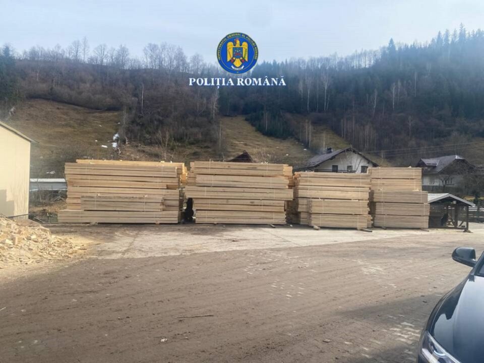 200 mc lemn confiscat, amenzi mari și dosar penal, după descinderi la afaceriști cu lemn din zonele Broșteni, Mălini și Slatina