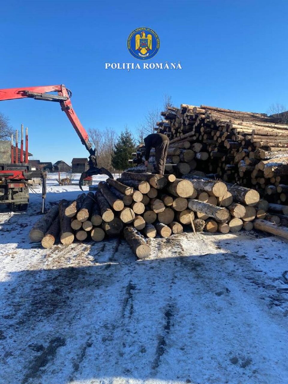 200 mc lemn confiscat, amenzi mari și dosar penal, după descinderi la afaceriști cu lemn din zonele Broșteni, Mălini și Slatina