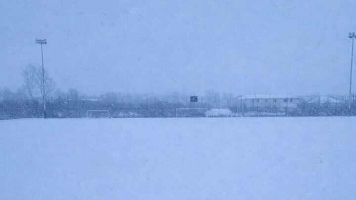 Șoimii și Cetatea au anulat amicalele de miercuri